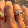 shell and starfish rings on sandy beach in corfu